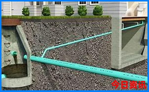 2025年新澳门天天开奖结果查询